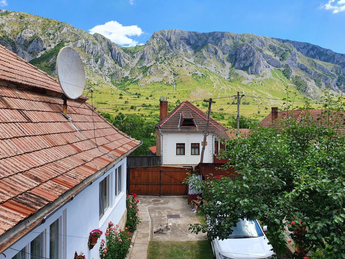 里梅泰亚Rozsa Panzio住宿加早餐旅馆 外观 照片