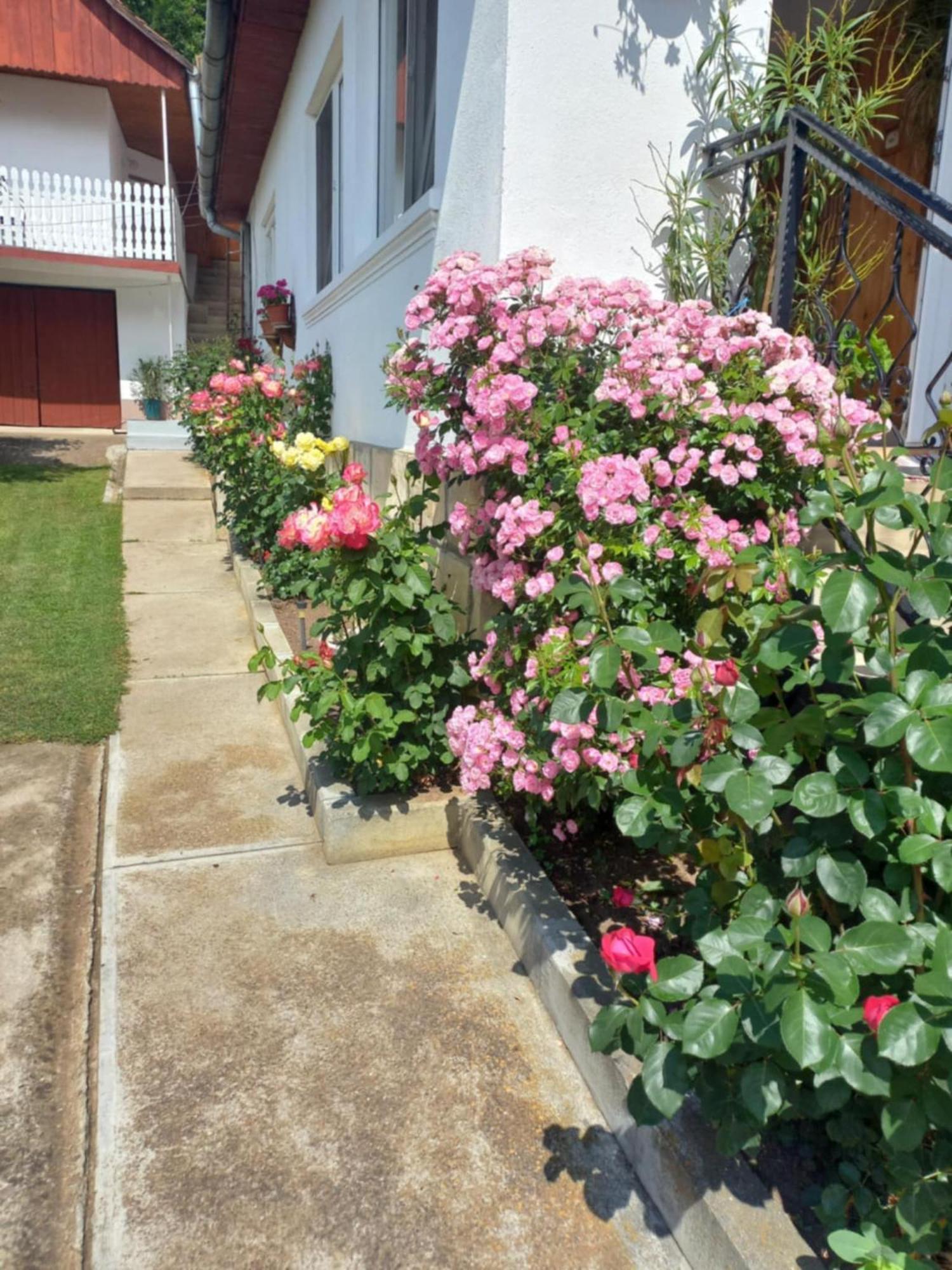 里梅泰亚Rozsa Panzio住宿加早餐旅馆 外观 照片